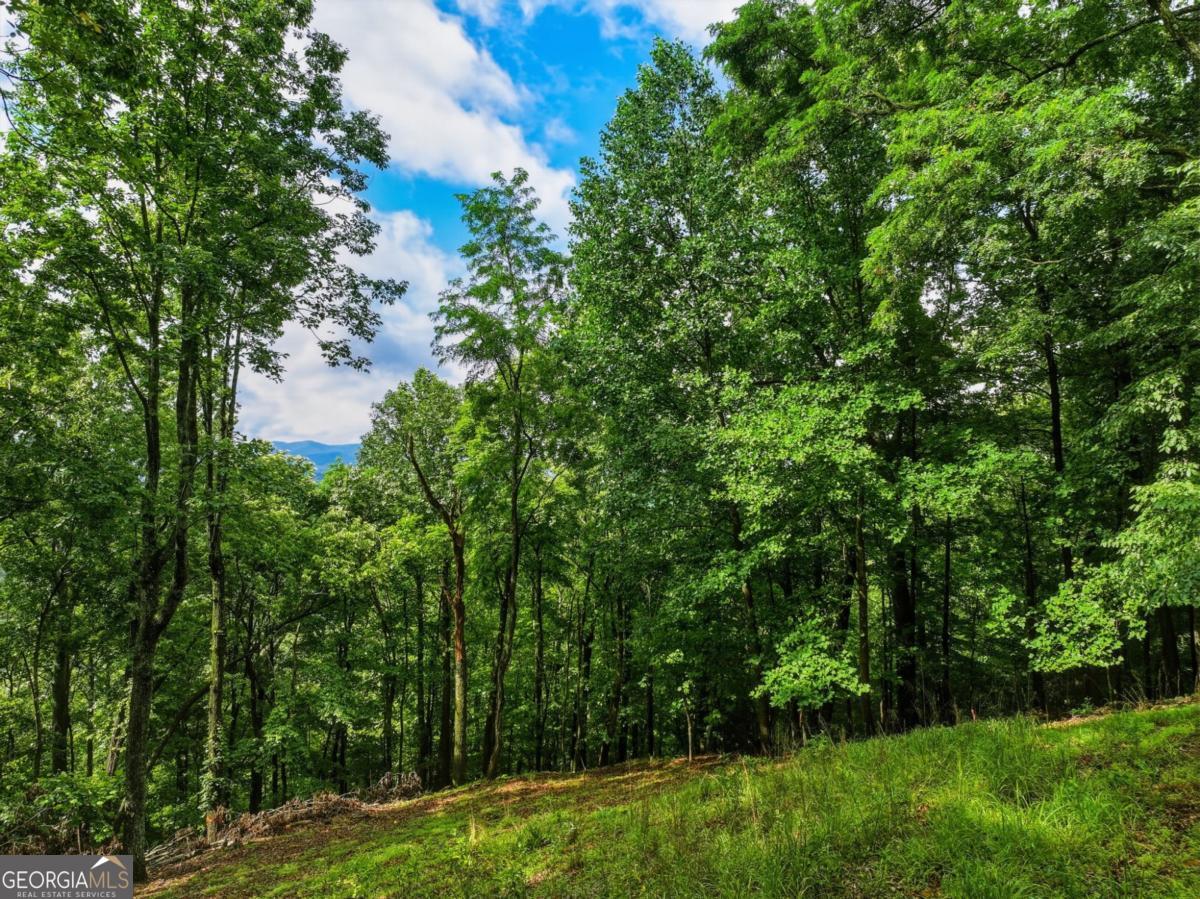 1220 Walnut Ridge Ellijay, GA 30536 - Photo 43 of 46 Gallery Image 43