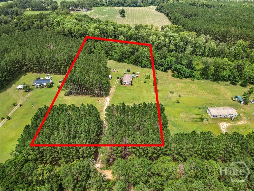 1327 R L Roberts Road Pembroke, GA 31321 - Photo 16 of 17 Gallery Image 16