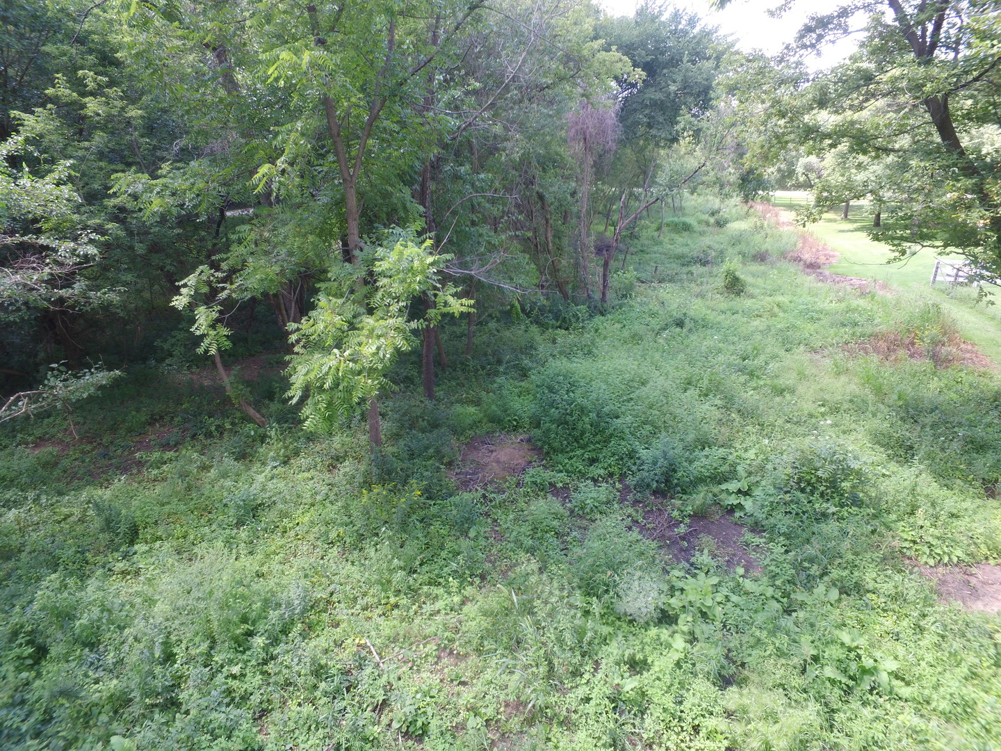 Lot 11 Powers Road Gilberts, IL 60136 - Photo 6 of 11 a view of a lush green forest