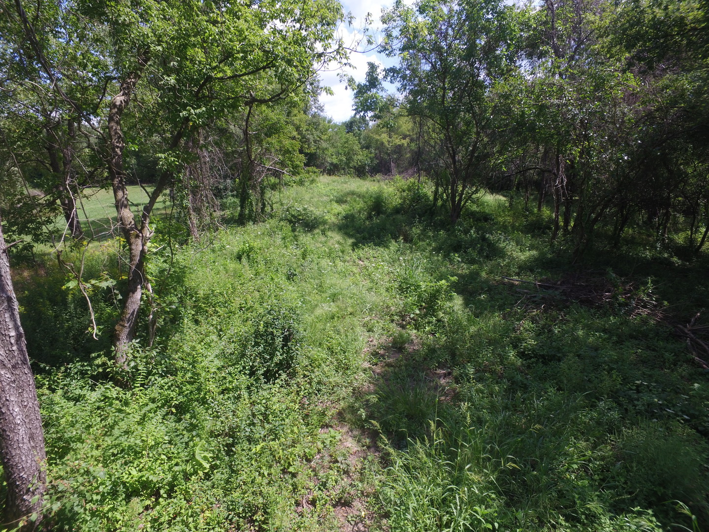 Lot 11 Powers Road Gilberts, IL 60136 - Photo 7 of 11 a view of a lush green forest
