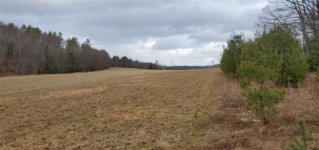 0 Wheeler Road Bath, NH 03740 - Photo 2 of 12