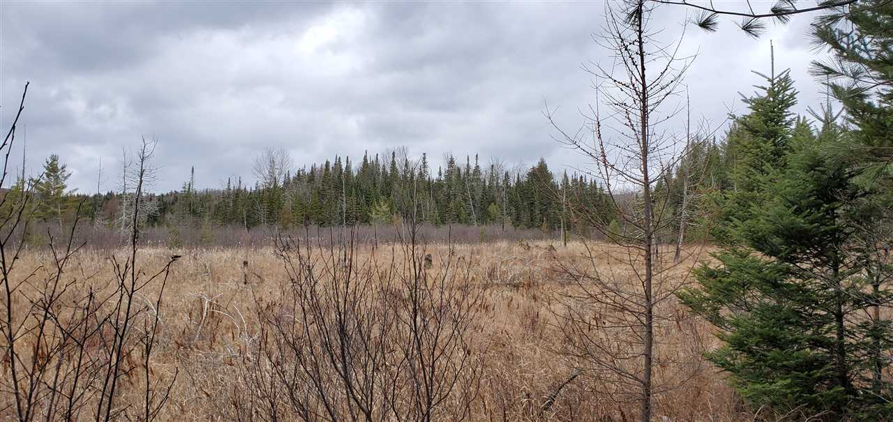 0 Wheeler Road Bath, NH 03740 - Photo 12 of 12