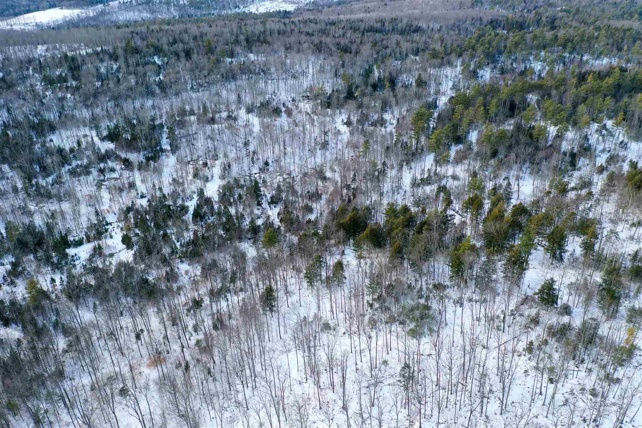 0 Wheeler Road Bath, NH 03740 - Photo 7 of 12