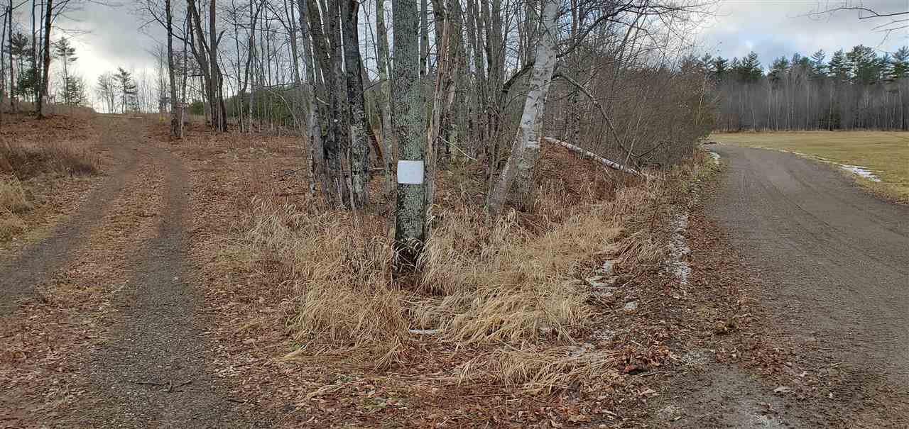 0 Wheeler Road Bath, NH 03740 - Photo 9 of 12