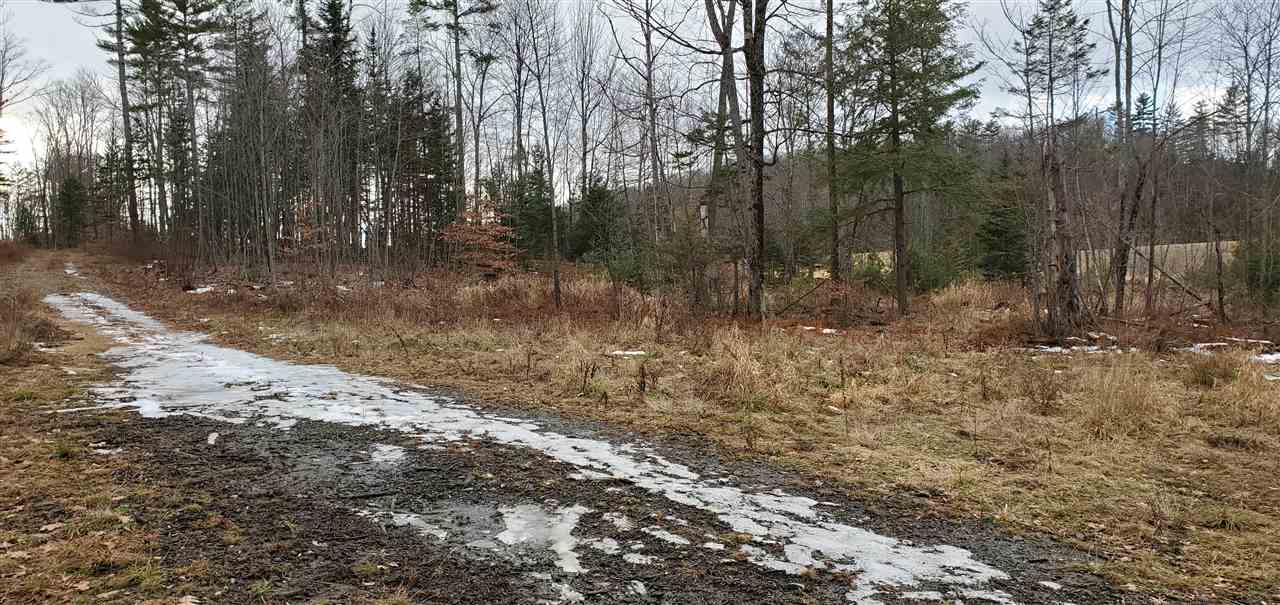 0 Wheeler Road Bath, NH 03740 - Photo 10 of 12