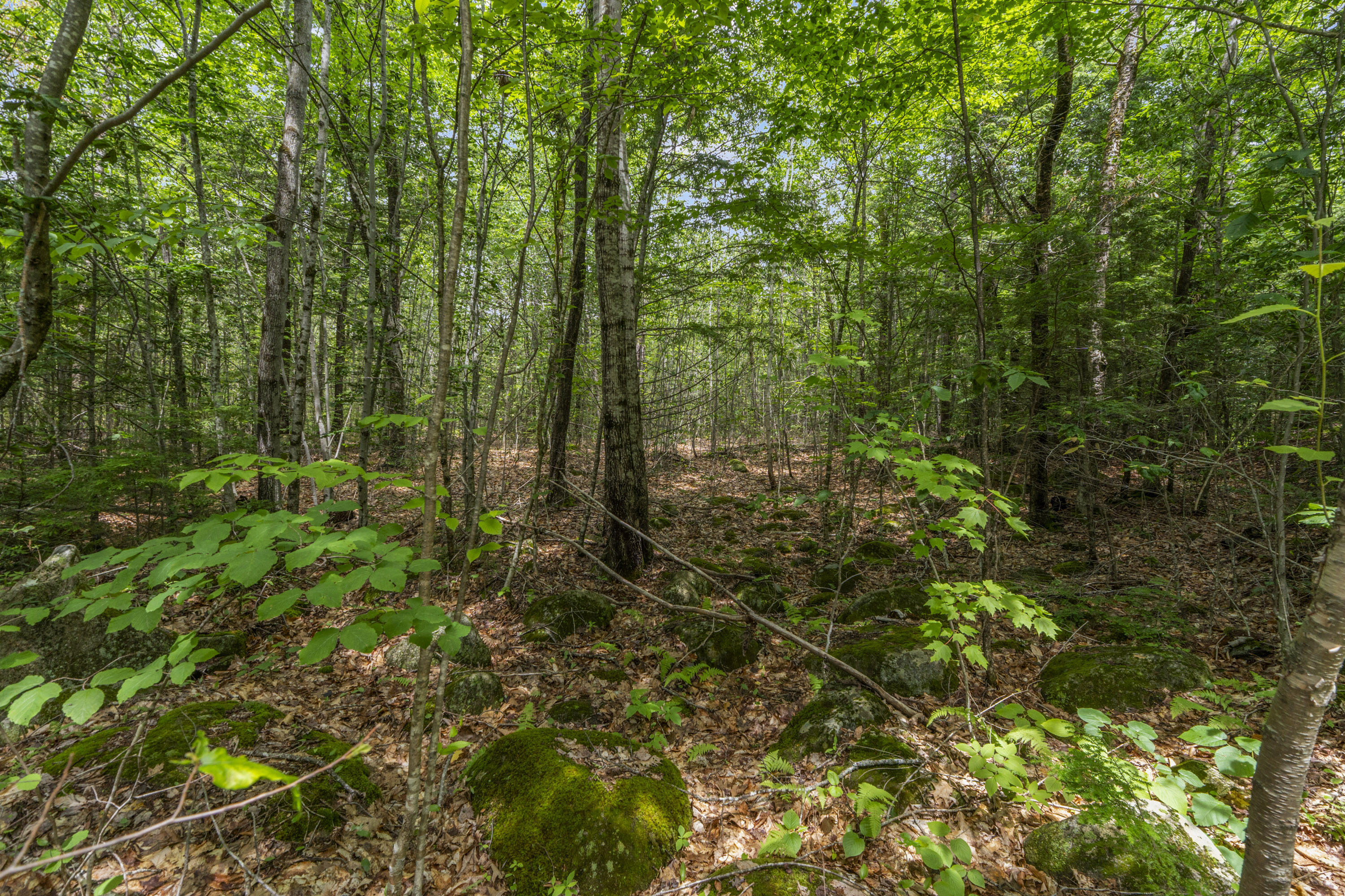 Lot17-30-1 Howland Hill Road Belgrade, ME 04917 - Photo 29 of 31