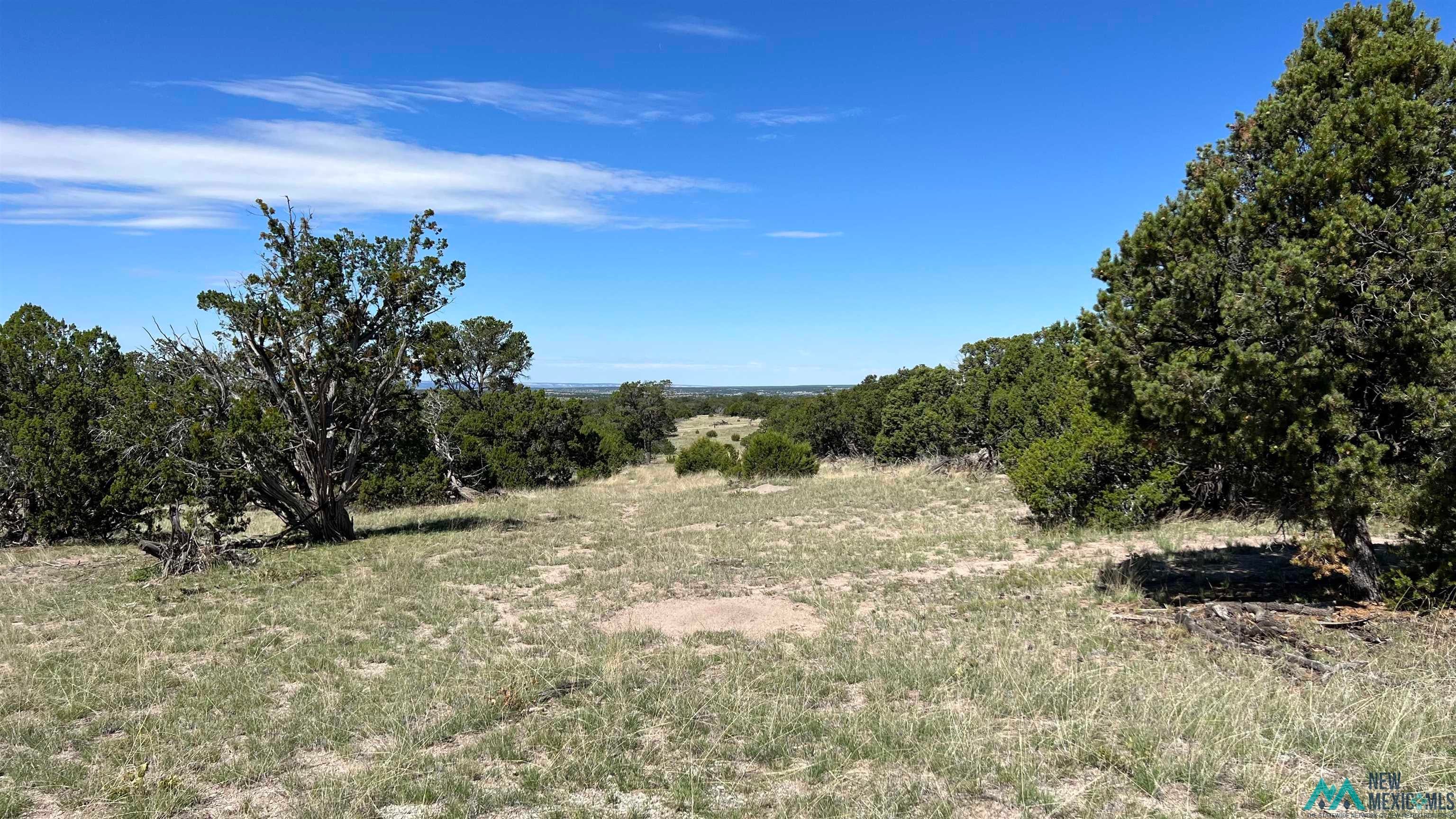Tbd Solano Road Pie Town, NM 87827 - Photo 4 of 12