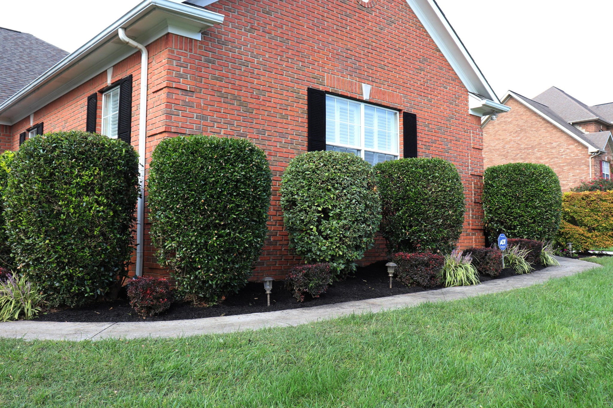 7921 Country Scene Road Knoxville, TN 37938 - Photo 5 of 40 Gallery Image 5