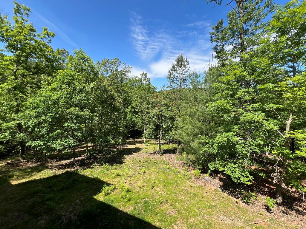 85 Hideaway Rdg Drive Murphy, NC 28906 - Photo 24 of 27 View from Covered Porch Into the Lot