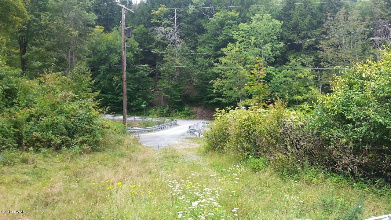 5 Whitleigh Road Equinunk, PA 18417 - Photo 4 of 12