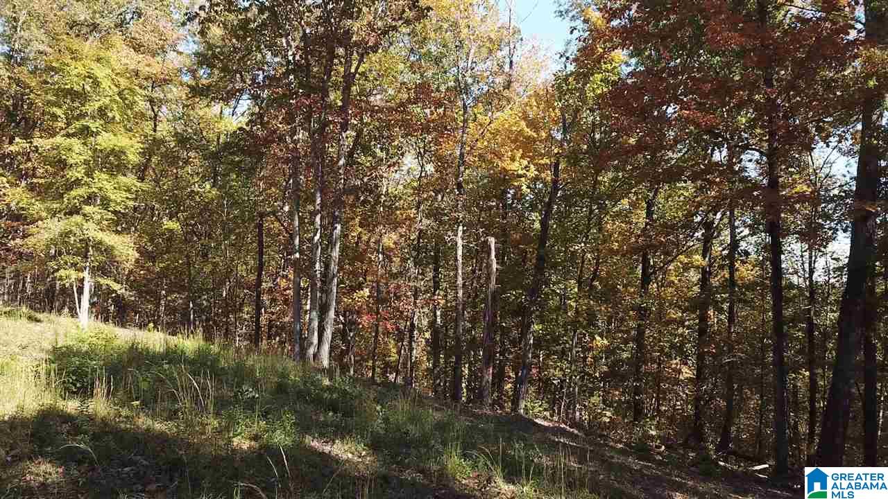 225 Oak Valley Road Springville, AL 35146 - Photo 3 of 8