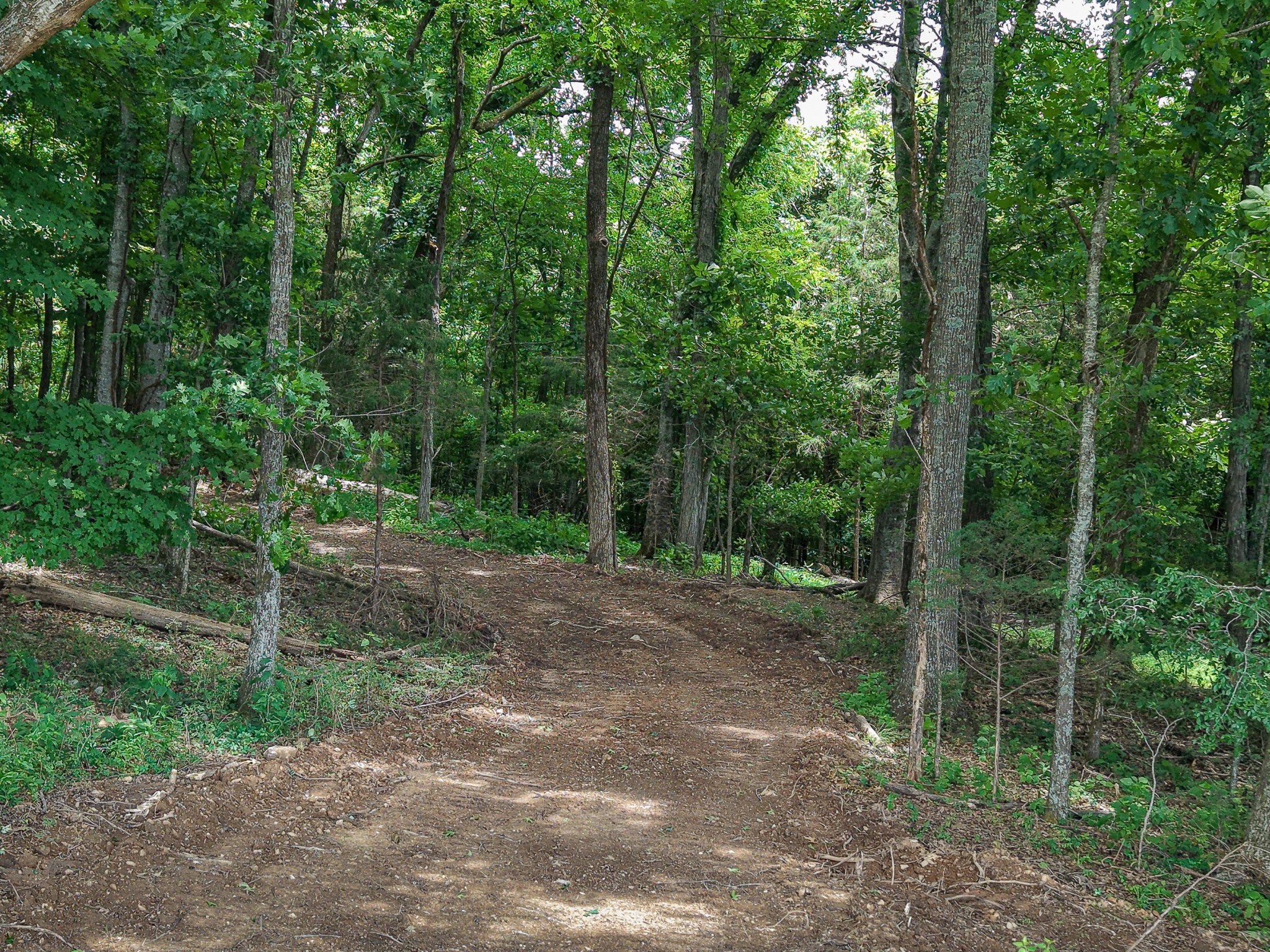 0 Smithland Road Kelso, TN 37348 - Photo 16 of 17