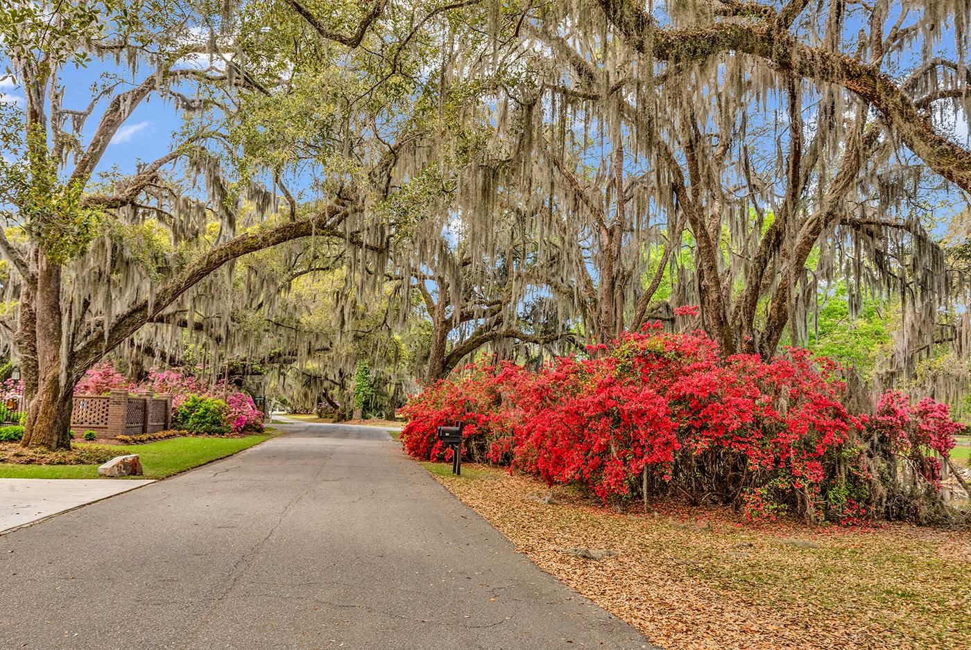 74 Winnowing Way Pawleys Island, SC 29585 - Photo 45 of 61