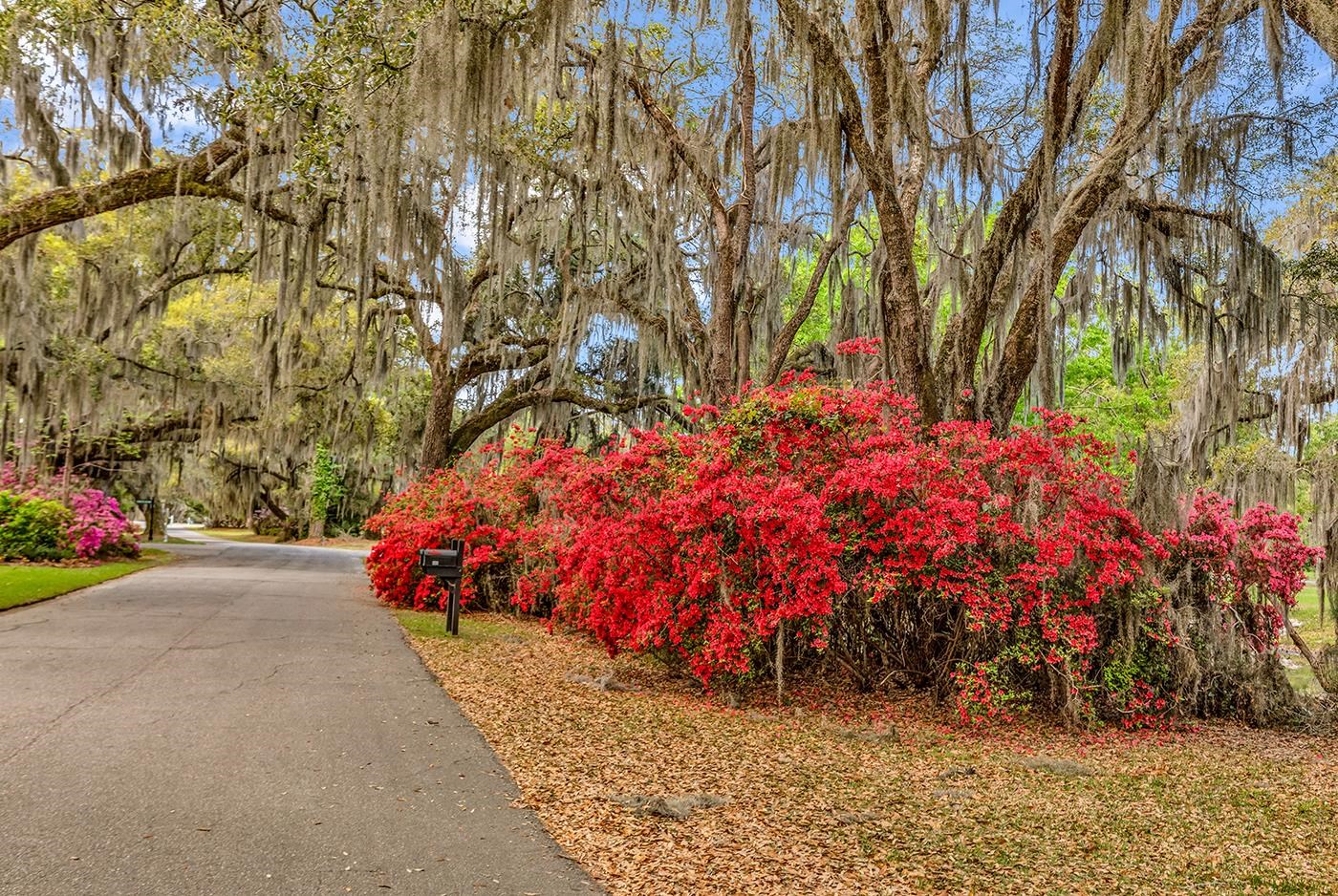 74 Winnowing Way Pawleys Island, SC 29585 - Photo 46 of 61