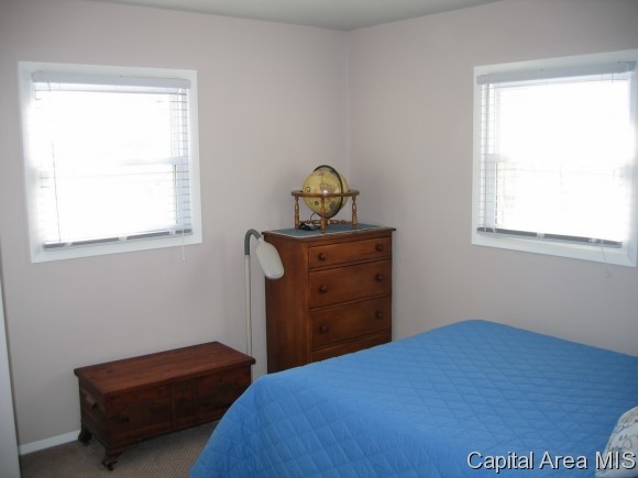 18875 Boggs Road Virden, IL 62690 - Photo 13 of 23