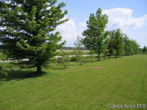 18875 Boggs Road Virden, IL 62690 - Photo 17 of 23