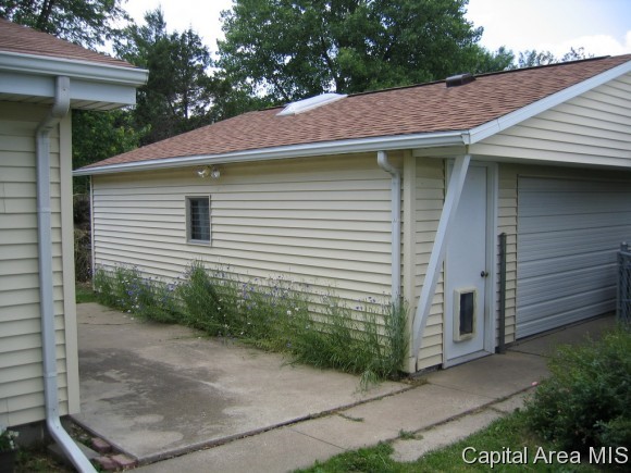 18875 Boggs Road Virden, IL 62690 - Photo 3 of 23