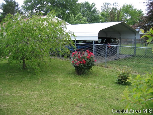 18875 Boggs Road Virden, IL 62690 - Photo 4 of 23