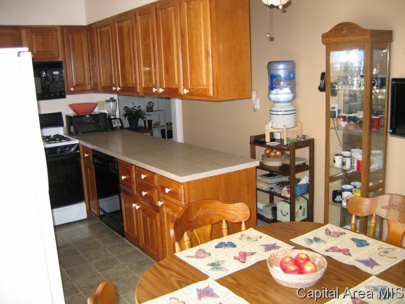 18875 Boggs Road Virden, IL 62690 - Photo 9 of 23