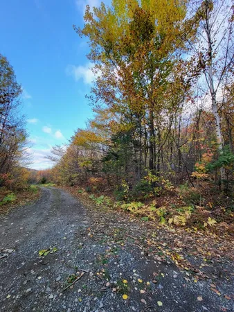 $109,000 | Lot 9-10 Moose Ridge Road, Oakfield, ME 04763