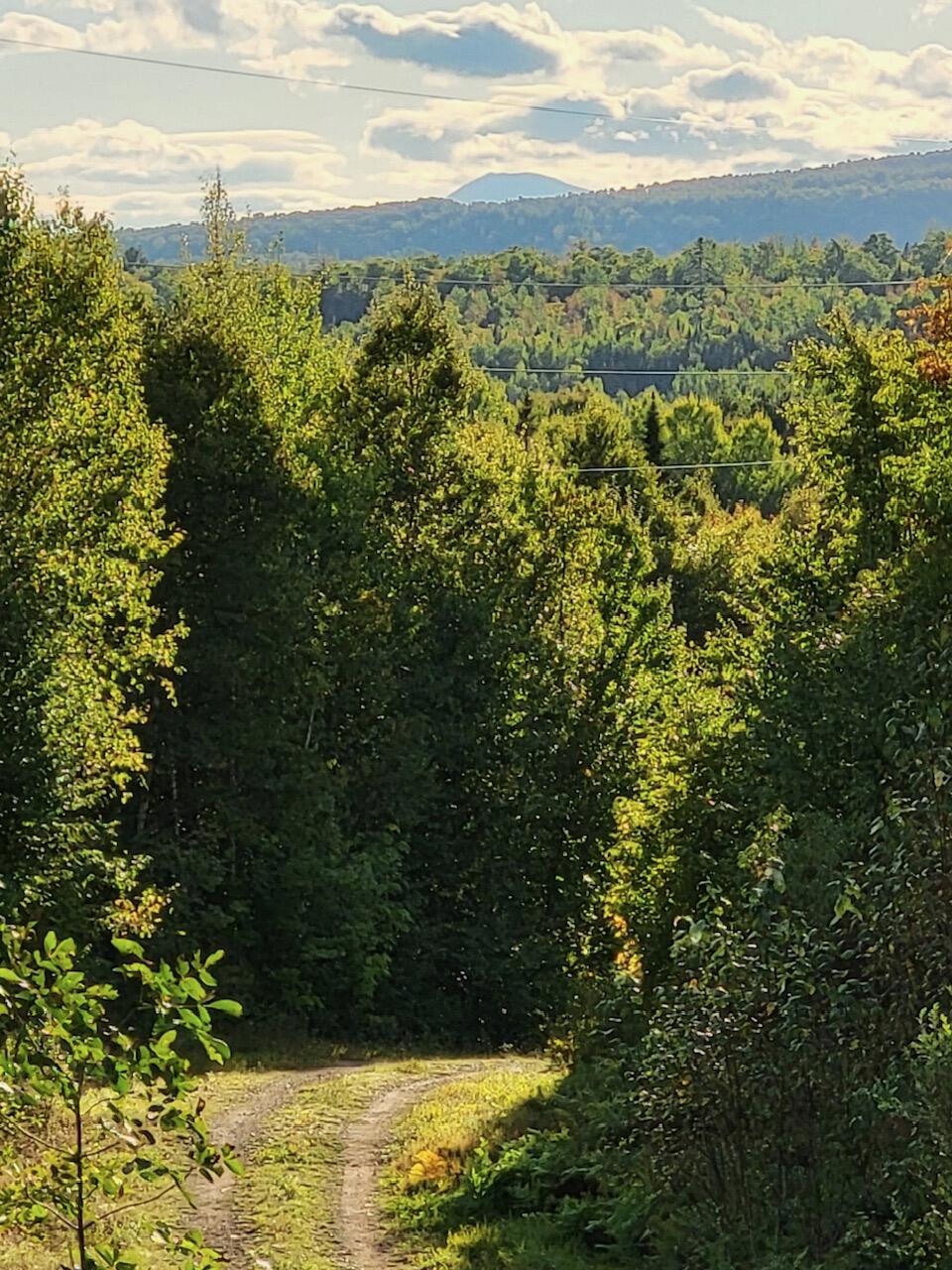 Lot 9-10 Moose Ridge Road Oakfield, ME 04763 - Photo 26 of 38 image27