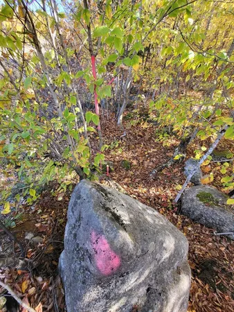 $109,000 | Lot 9-10 Moose Ridge Road, Oakfield, ME 04763