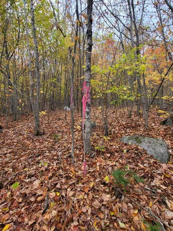 $109,000 | Lot 9-10 Moose Ridge Road, Oakfield, ME 04763