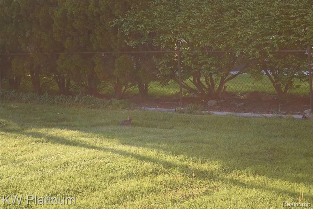 18620 Goddard Road Allen Park, MI 48101 - Photo 12 of 46 DSC_0993.JPG