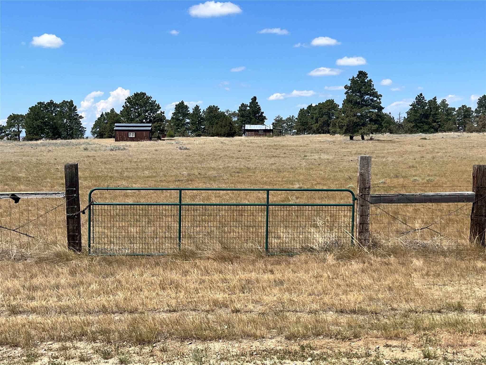 182 Canal Road Shawmut, MT 59078 - Photo 8 of 25 Gallery Image 8