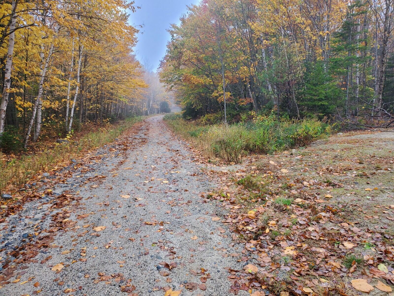 Lot 60 Eleanor Mae Road Deblois, ME 04622 - Photo 1 of 6 20221017_083424