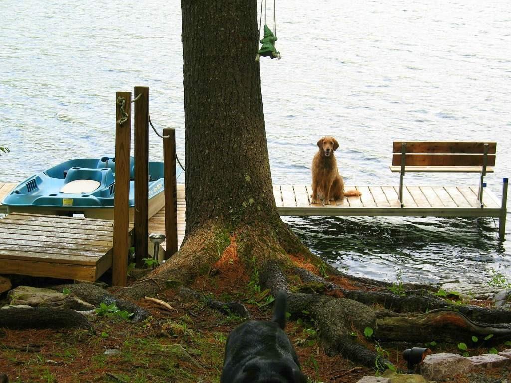 95 Minnehonk Rd Mount Mount Vernon, ME 04352 - Photo 20 of 25 Photo
