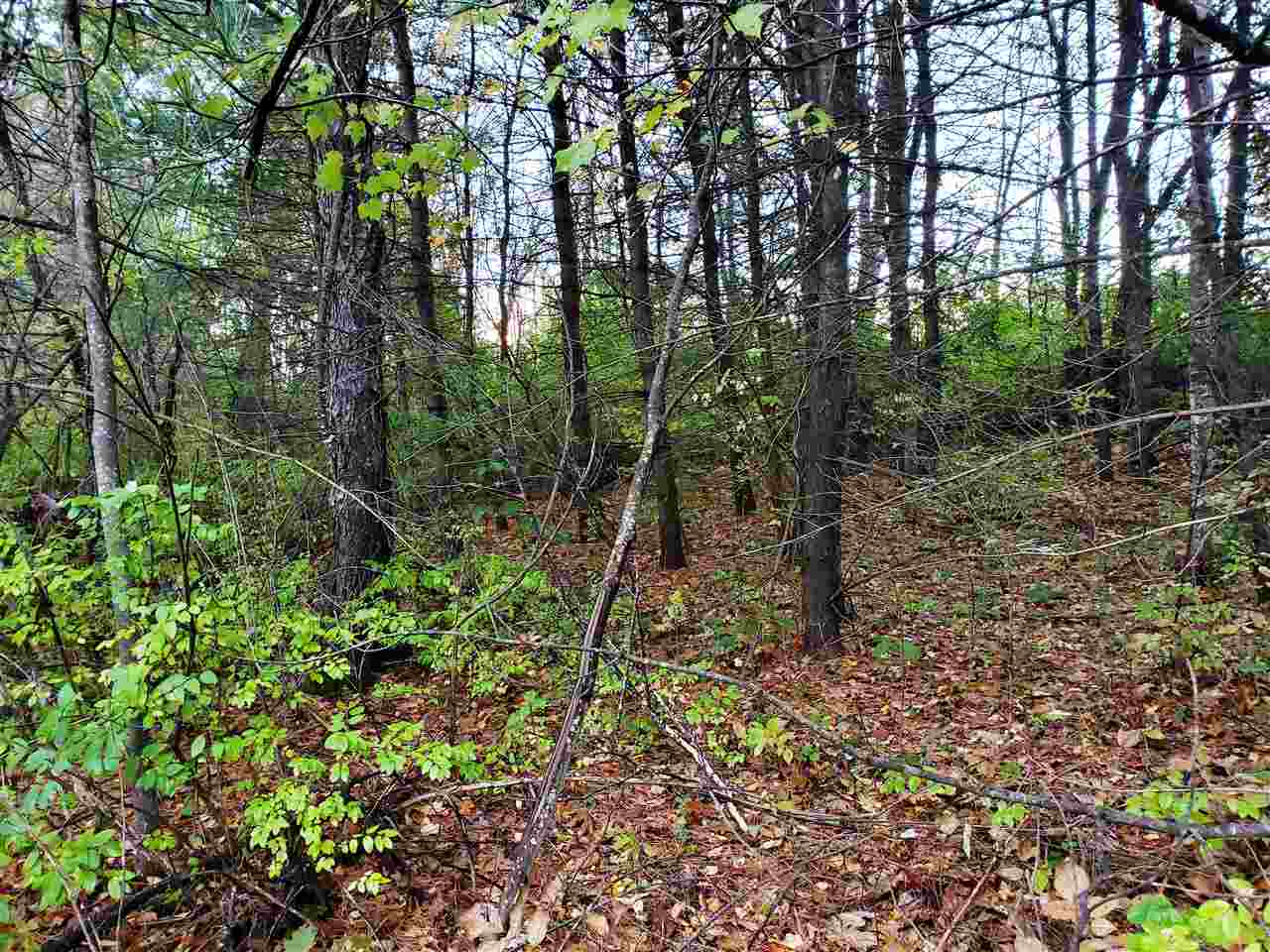 0 Curtis Farm Road Wilton, NH 03086 - Photo 3 of 5