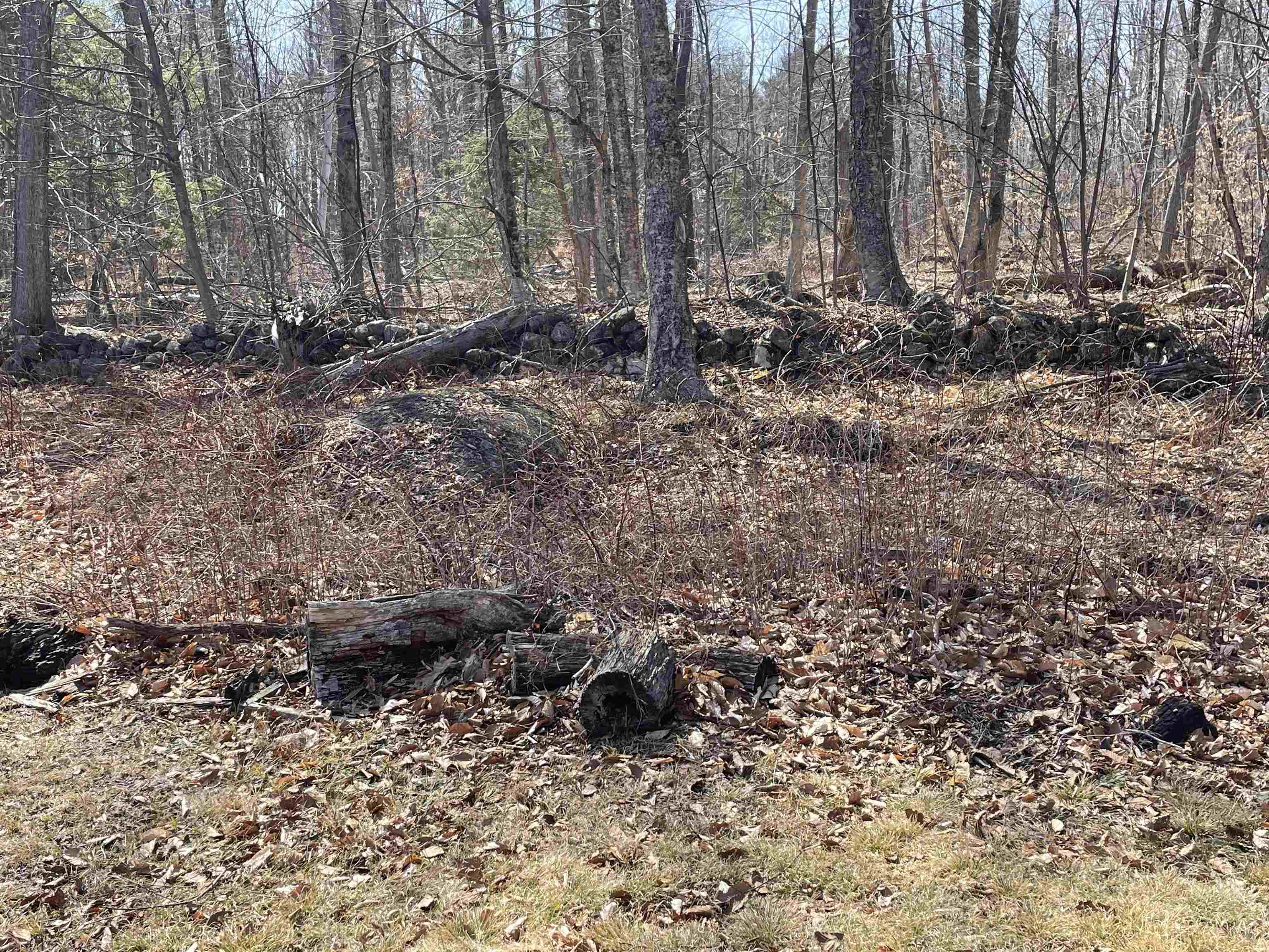 533 Juniper Hill Road Stoddard, NH 03464 - Photo 18 of 46