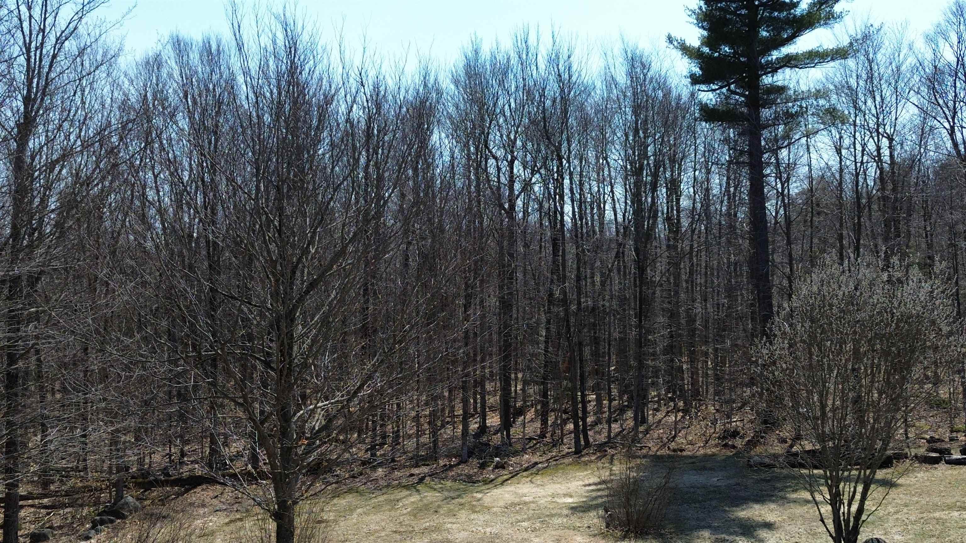 533 Juniper Hill Road Stoddard, NH 03464 - Photo 27 of 46