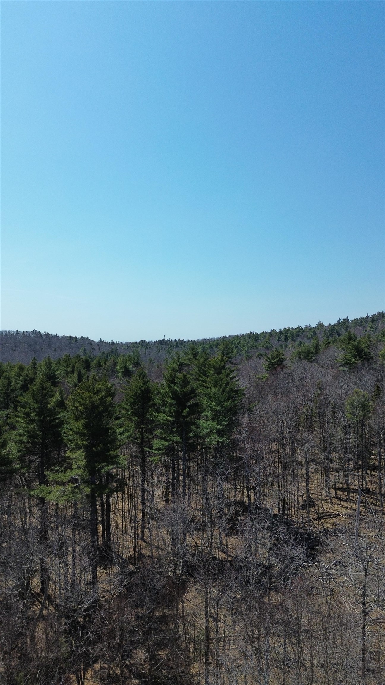 533 Juniper Hill Road Stoddard, NH 03464 - Photo 36 of 46