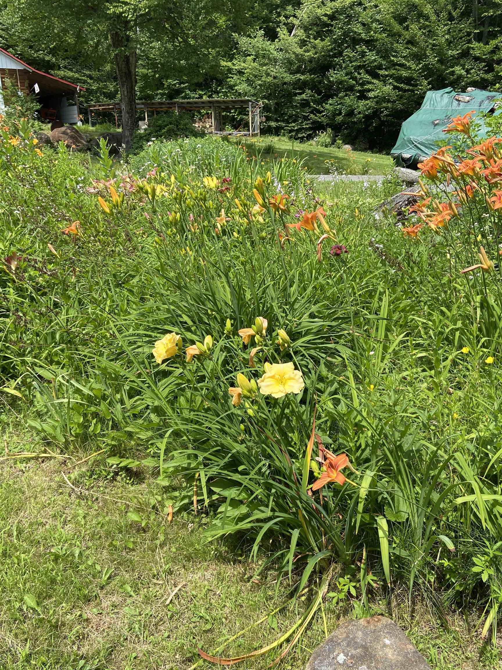 533 Juniper Hill Road Stoddard, NH 03464 - Photo 4 of 46