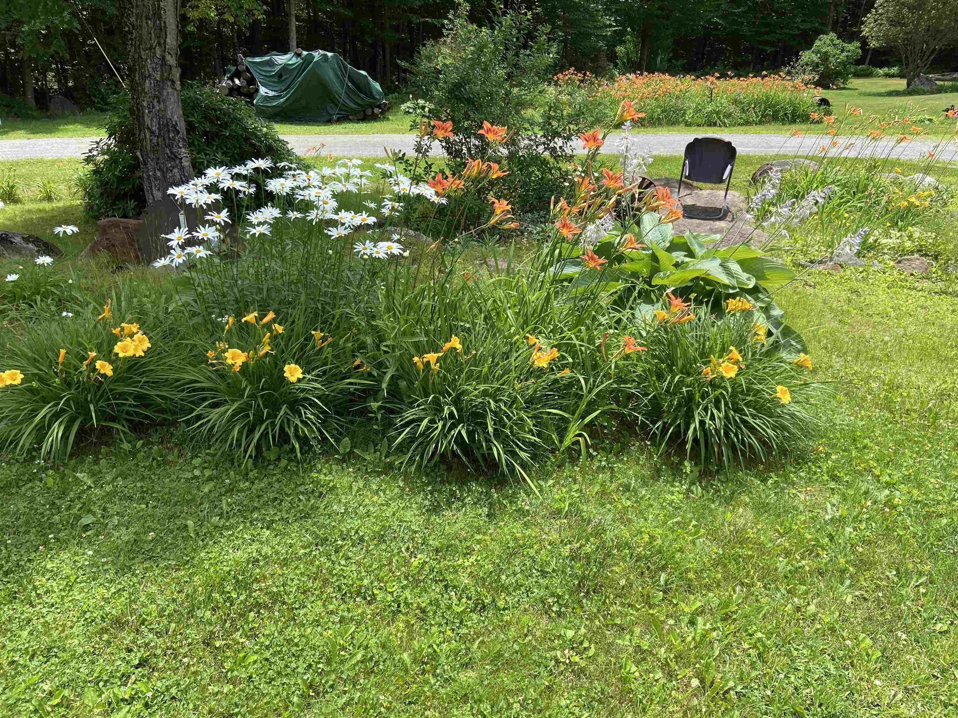 533 Juniper Hill Road Stoddard, NH 03464 - Photo 5 of 46