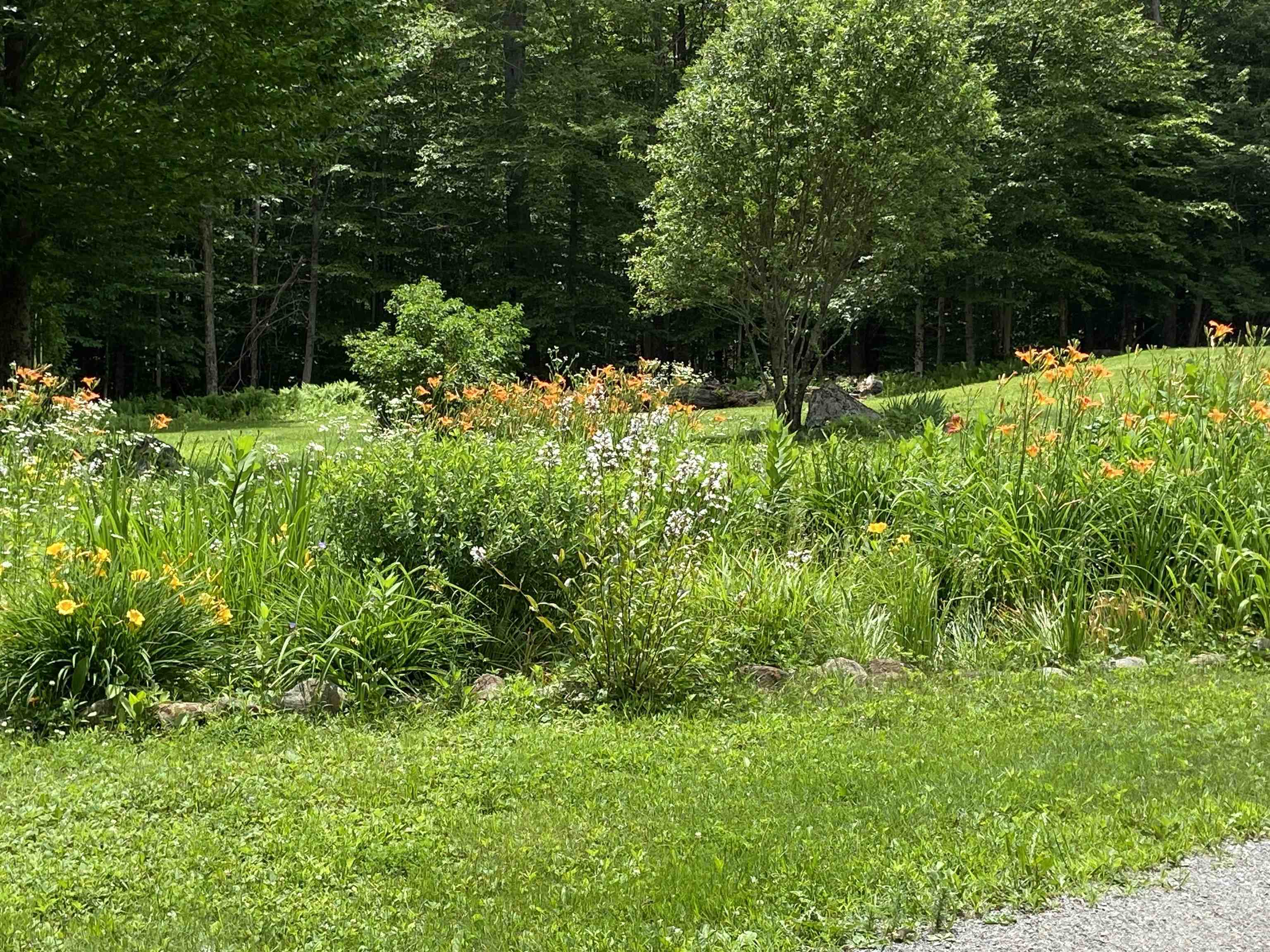 533 Juniper Hill Road Stoddard, NH 03464 - Photo 6 of 46