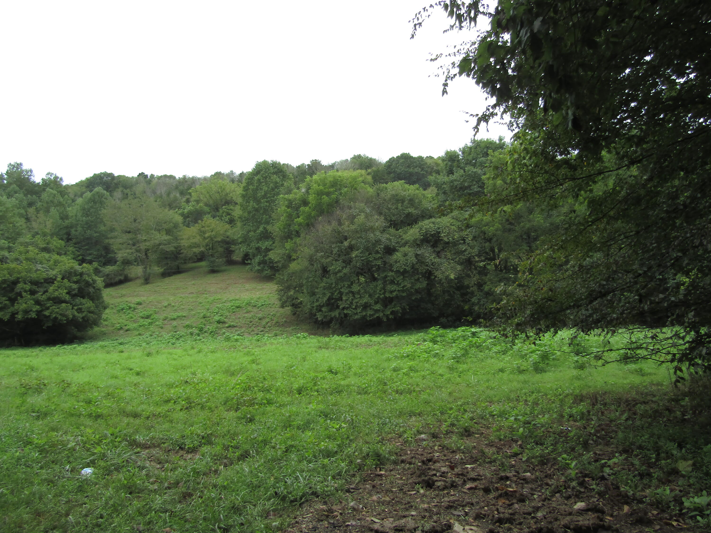 22.73-ac Big Branch Road Granville, TN 38564 - Photo 1 of 32 IMG_3797