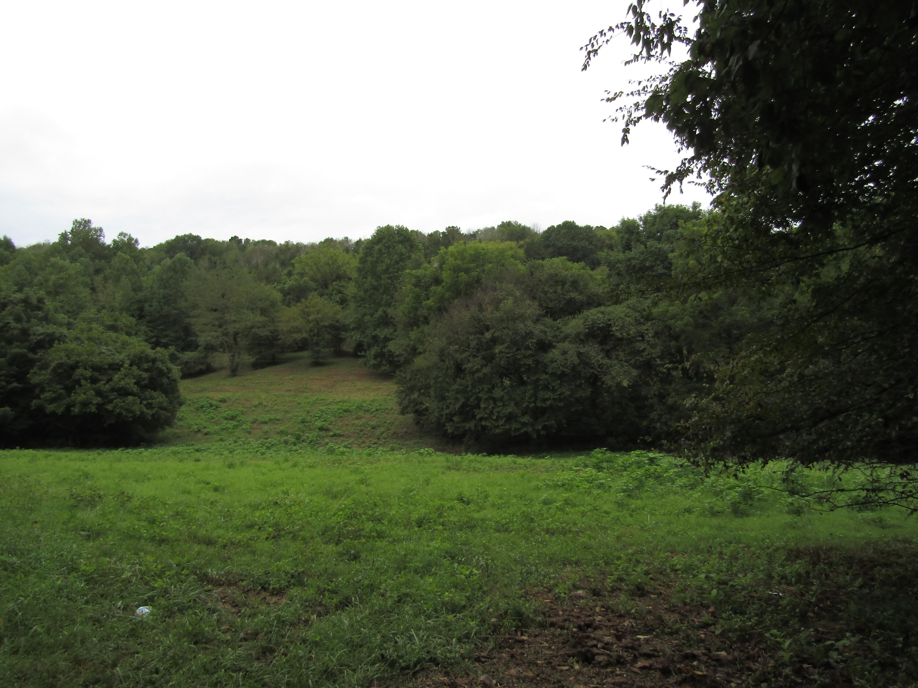 22.73-ac Big Branch Road Granville, TN 38564 - Photo 2 of 32 IMG_3798