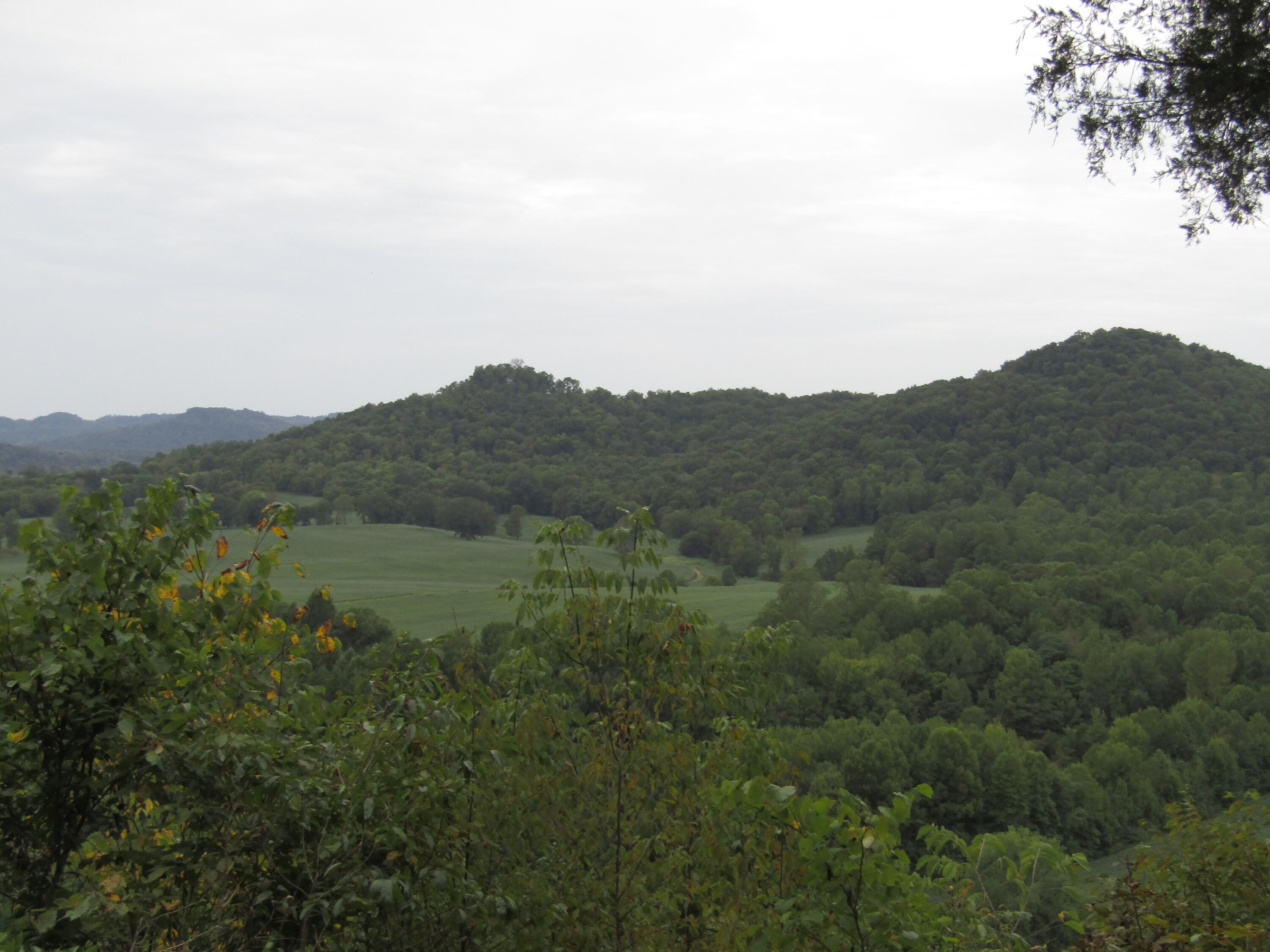 22.73-ac Big Branch Road Granville, TN 38564 - Photo 12 of 32 IMG_3810