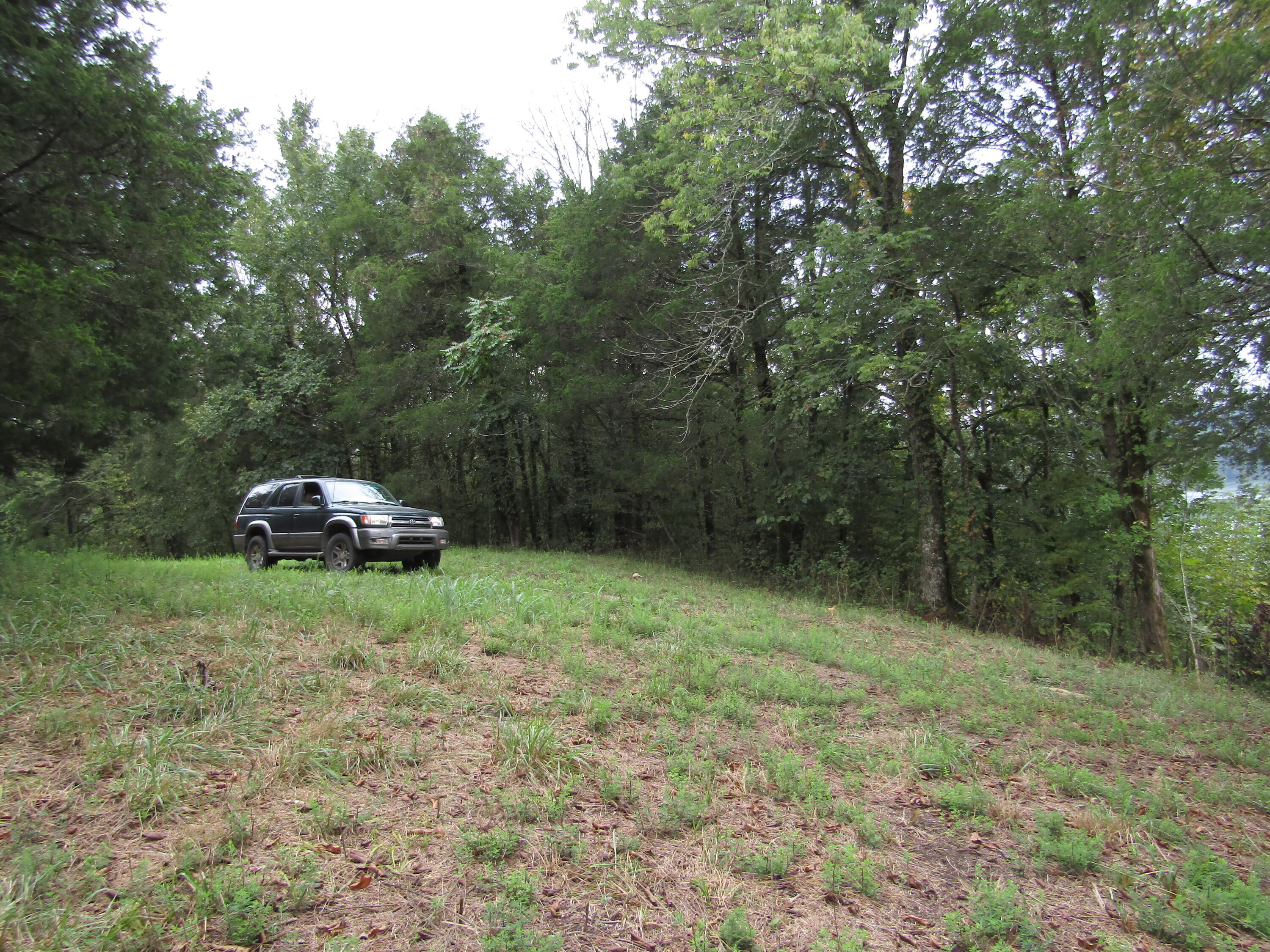 22.73-ac Big Branch Road Granville, TN 38564 - Photo 14 of 32 IMG_3813