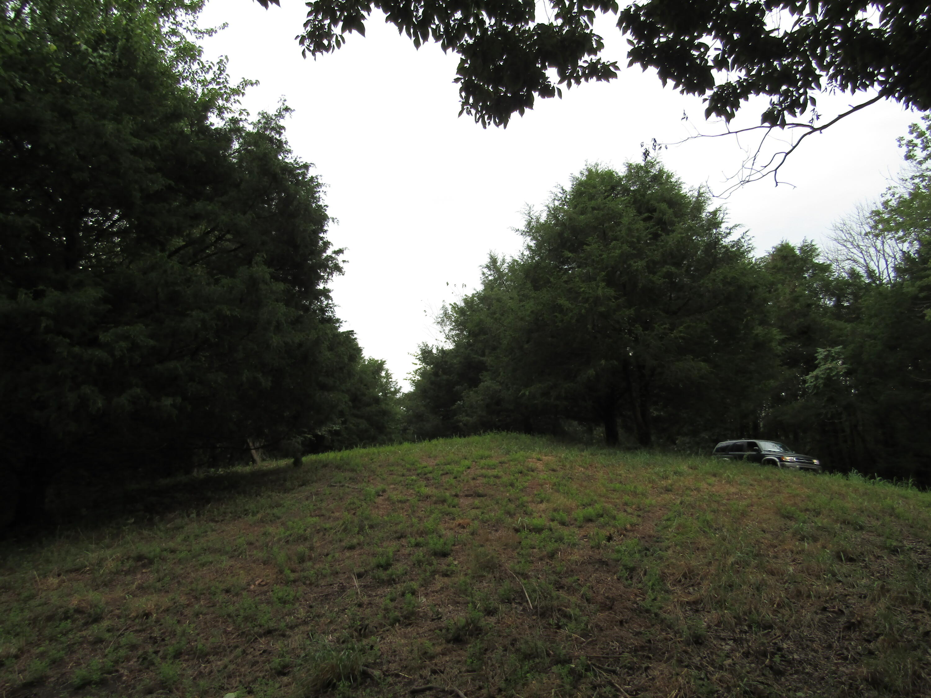 22.73-ac Big Branch Road Granville, TN 38564 - Photo 18 of 32 IMG_3817