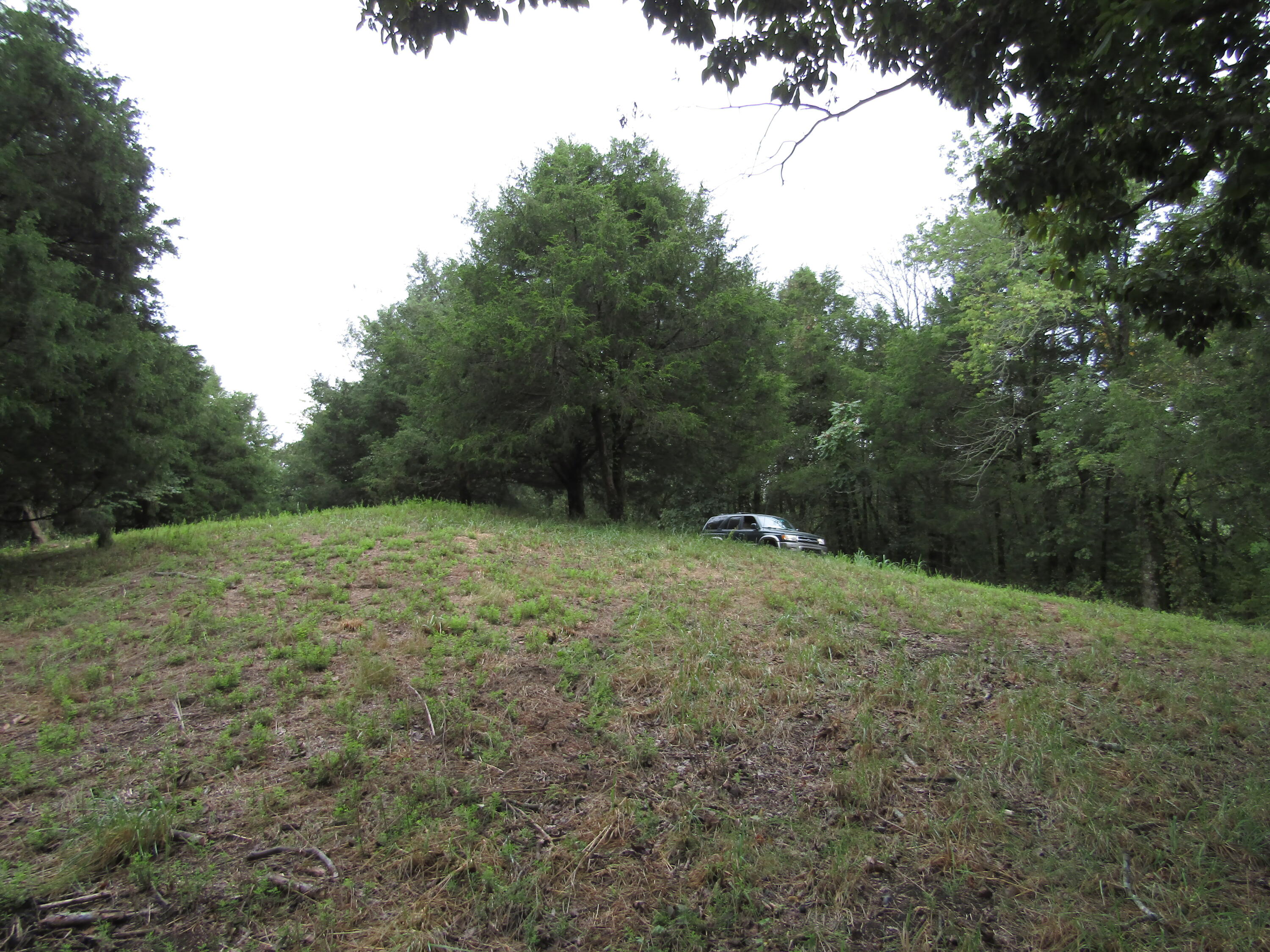 22.73-ac Big Branch Road Granville, TN 38564 - Photo 19 of 32 IMG_3818