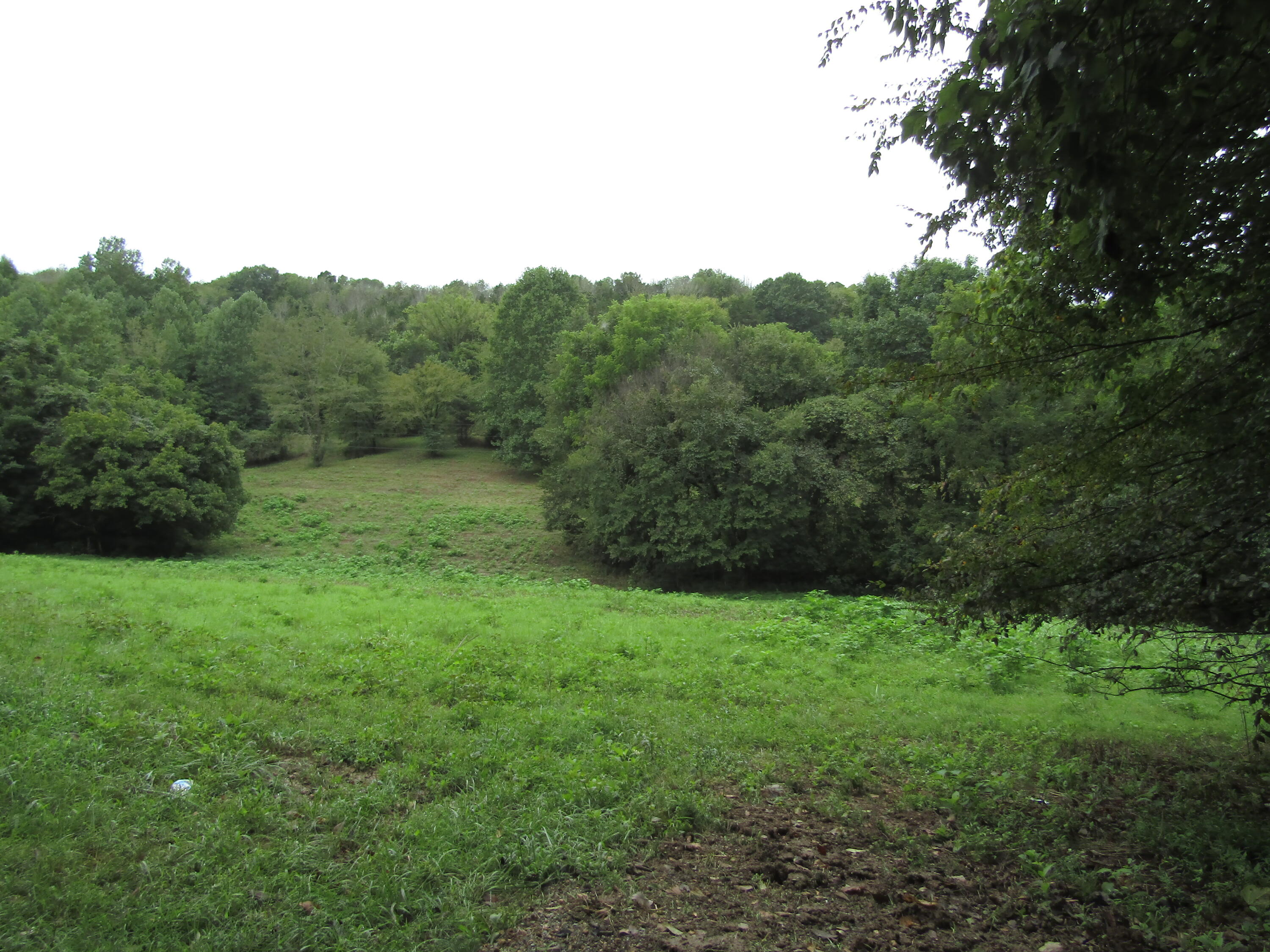 22.73-ac Big Branch Road Granville, TN 38564 - Photo 3 of 32 IMG_3799