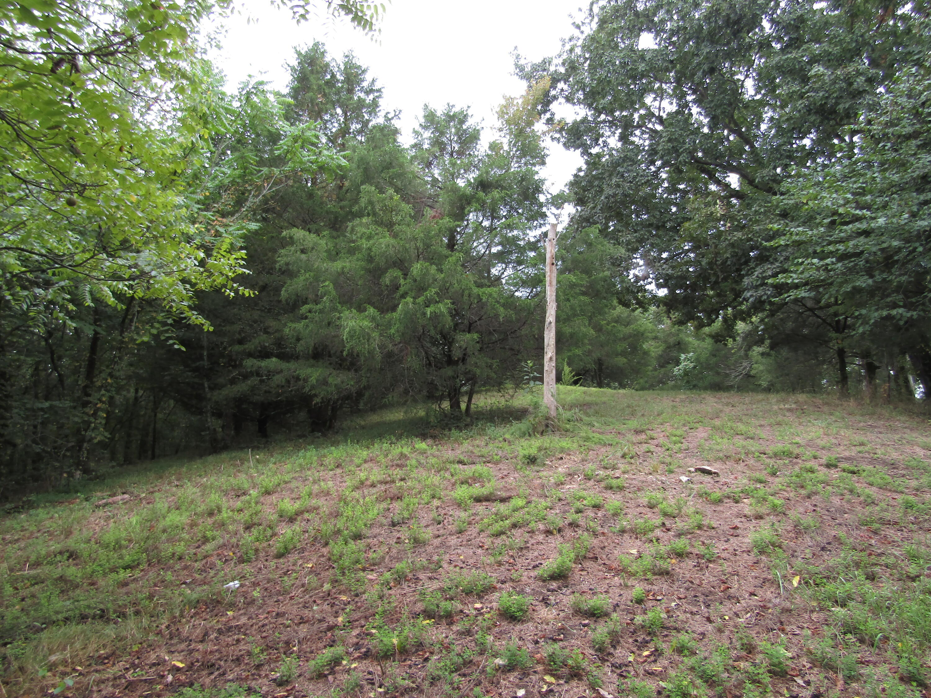 22.73-ac Big Branch Road Granville, TN 38564 - Photo 21 of 32 IMG_3820