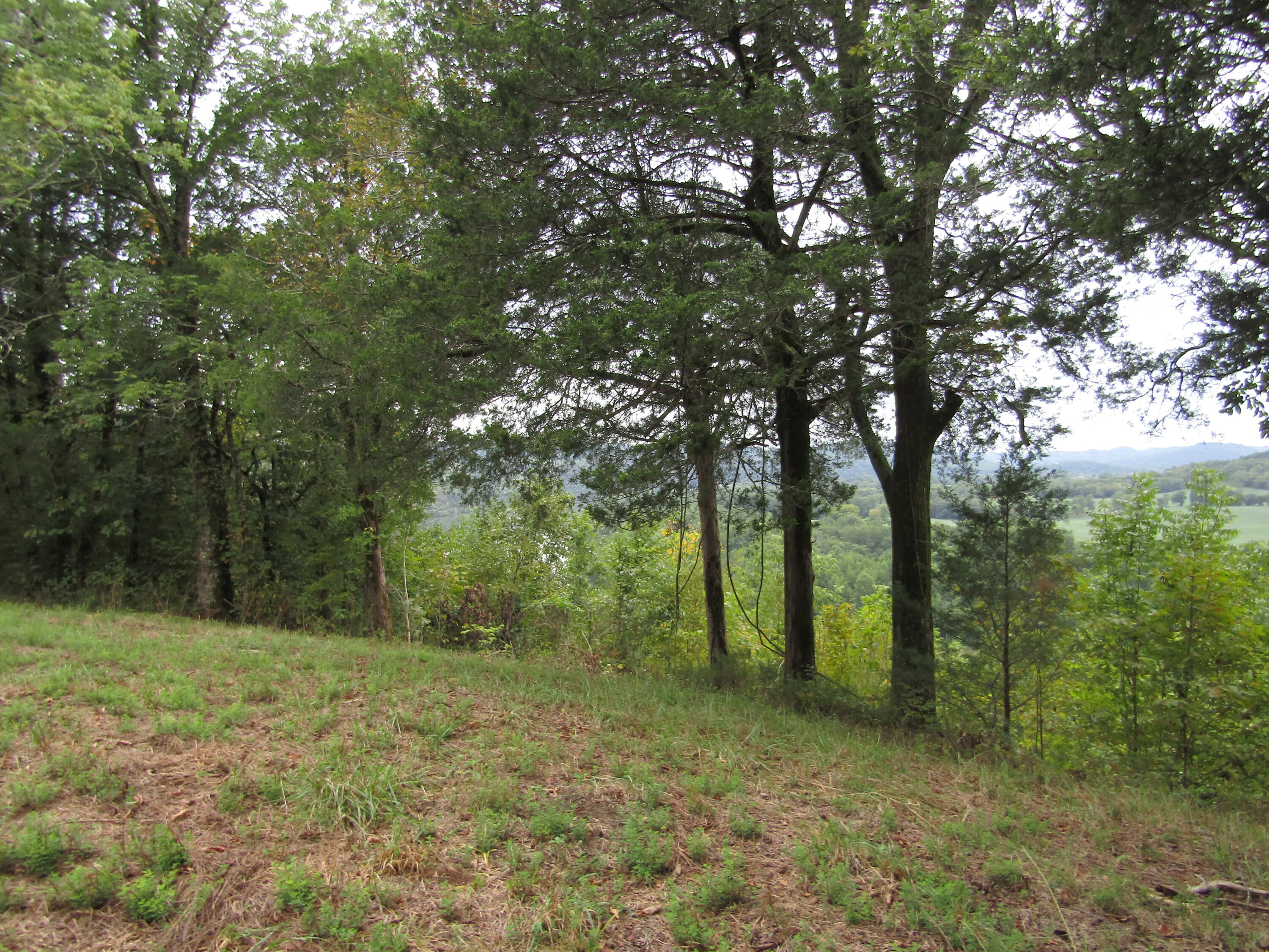 22.73-ac Big Branch Road Granville, TN 38564 - Photo 23 of 32 IMG_3822