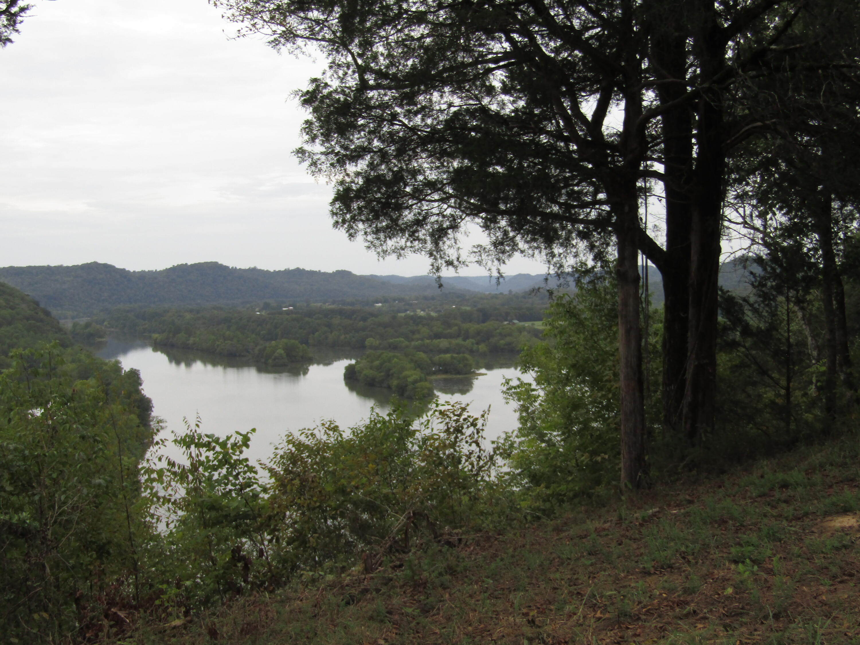 22.73-ac Big Branch Road Granville, TN 38564 - Photo 26 of 32 IMG_3825
