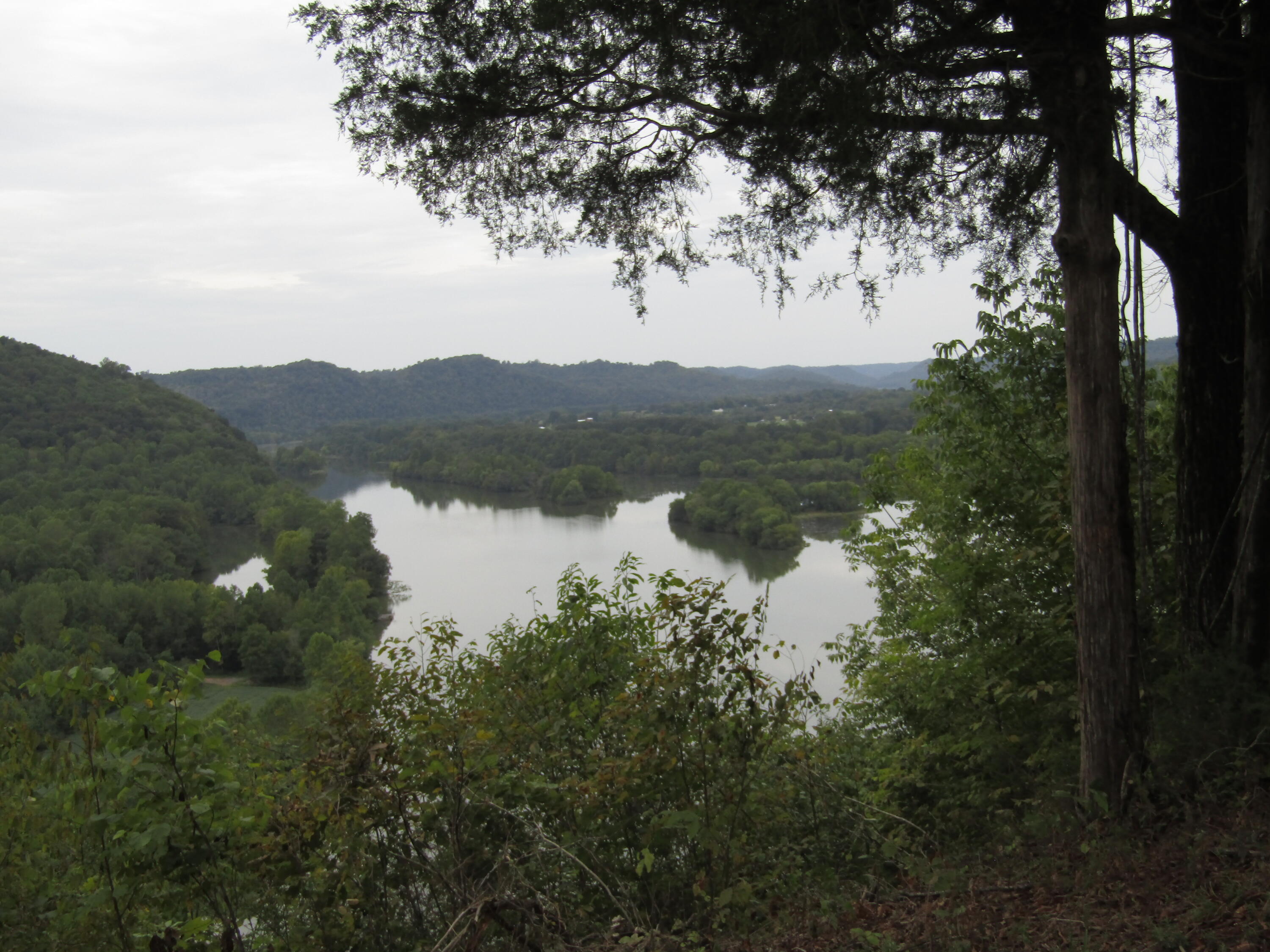 22.73-ac Big Branch Road Granville, TN 38564 - Photo 28 of 32 IMG_3827