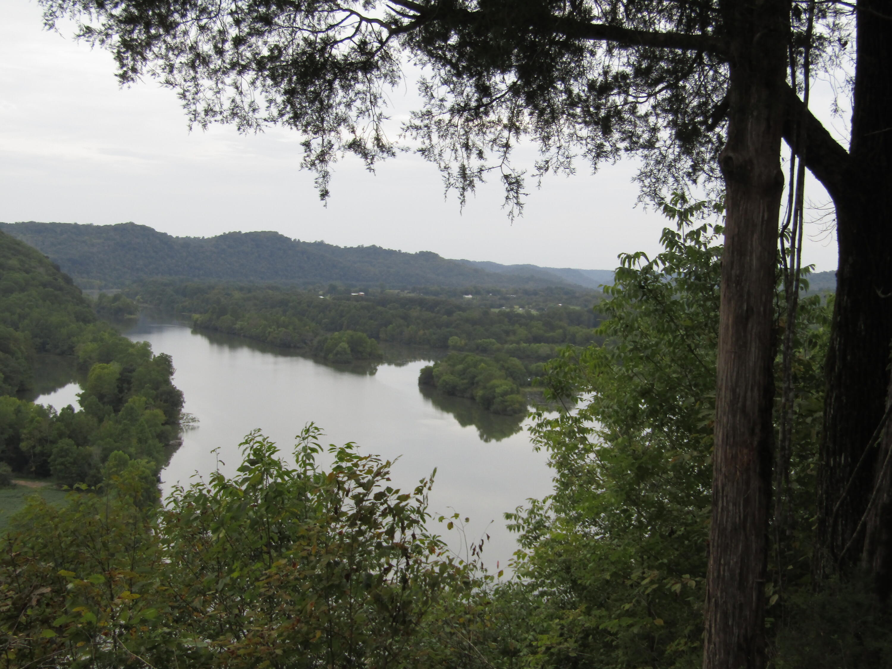 22.73-ac Big Branch Road Granville, TN 38564 - Photo 31 of 32 USE AS MAIN